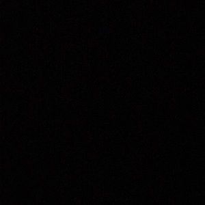 Meet your Posher, Tyonna